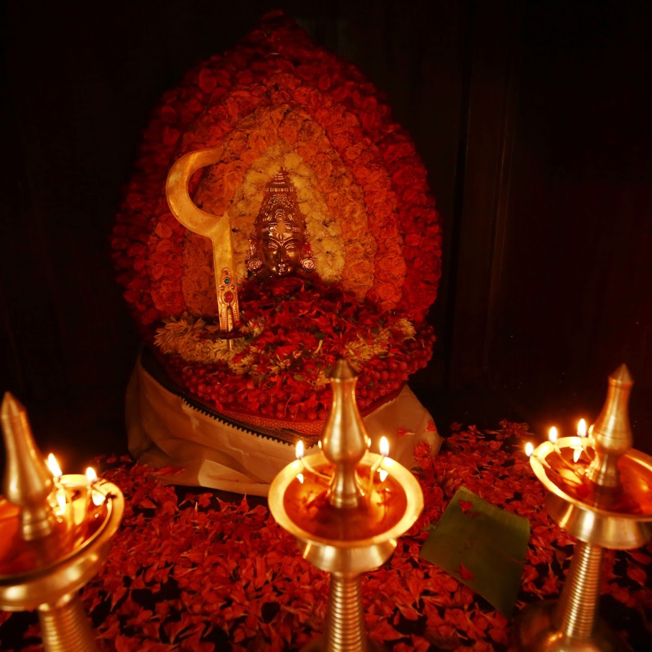 gallery-img2